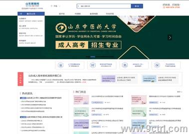 濟(jì)南網(wǎng)站建設(shè)制作之教育案例