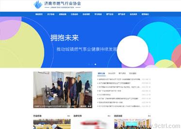 政府行業(yè)案例