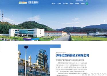 醫(yī)藥行業(yè)案例之網(wǎng)站建設
